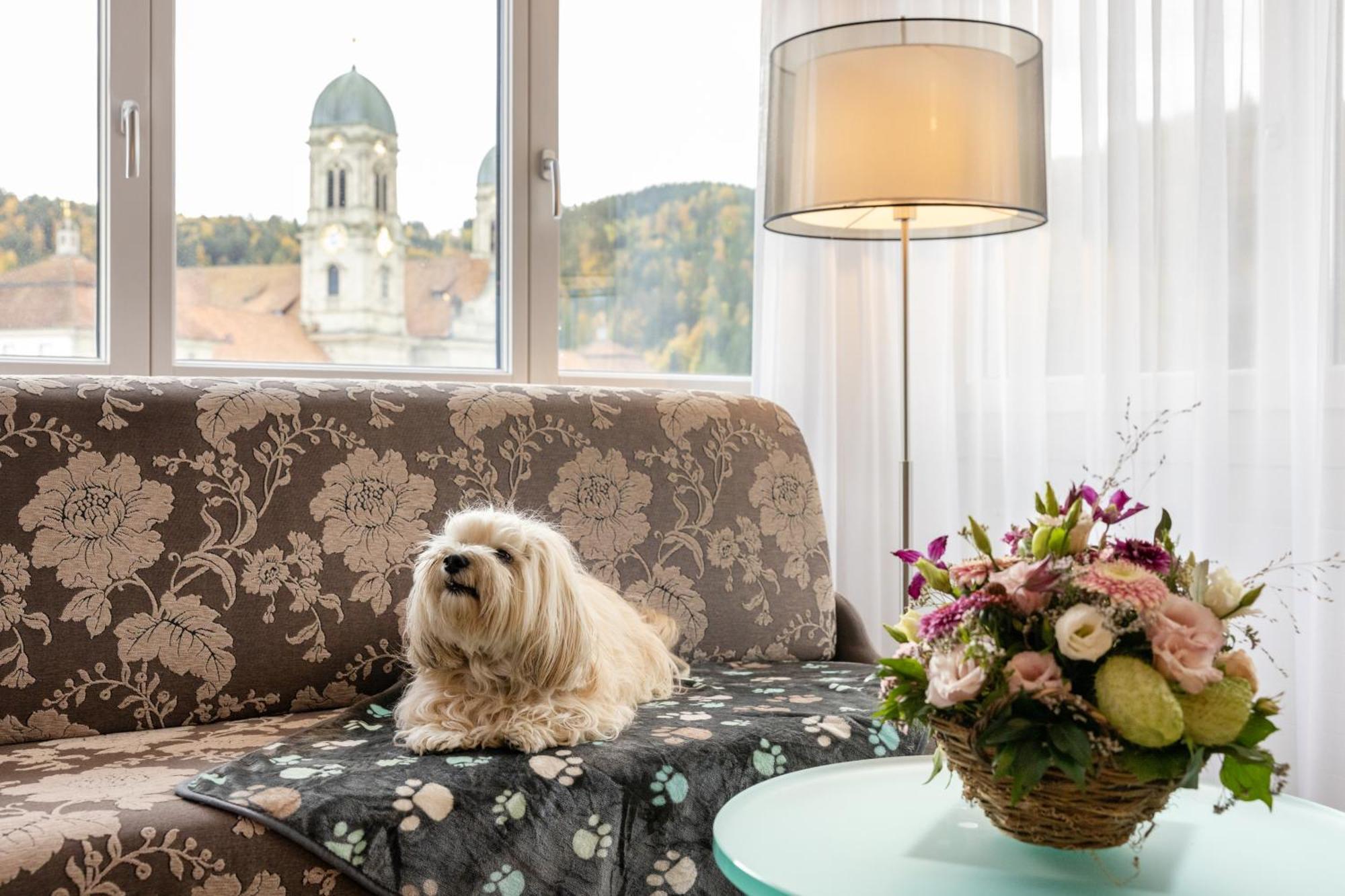 Hotel Drei Koenige アインジーデルン エクステリア 写真